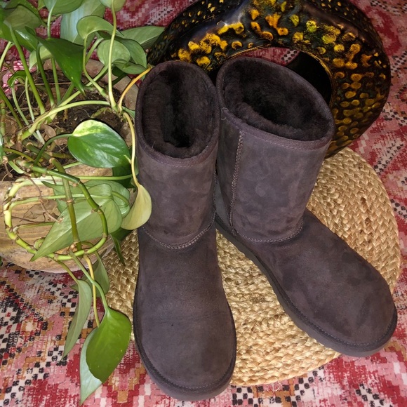 UGG Classic Short Boots - Picture 10 of 10